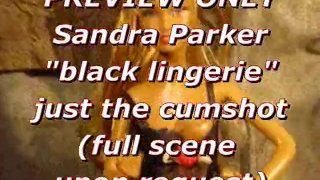 PREVIEW: Sandra Parker (black lingerie) blasted