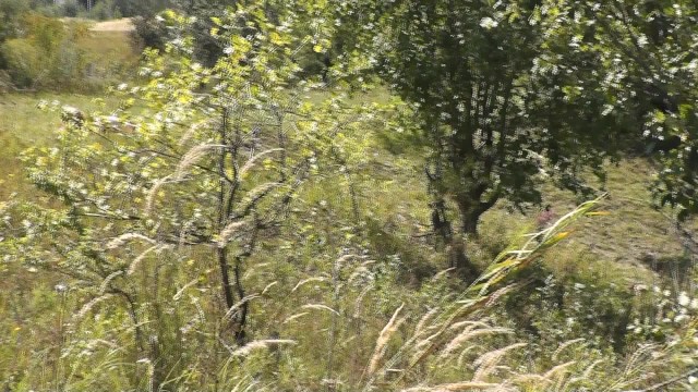 Un Pervers Se Branle et Se Vide Les Couilles En Matant Une Femme Entrain De Bronzer Nue Sur La Plage - POV