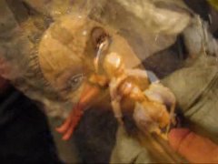 CloseUp&SlowMotion sc 4: Vicca, Jennifer Stone, Aletta Ocean