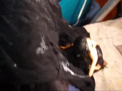 BBB Preview: KLS "Pre-Cum & Cream" (cumshot only)