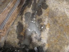 CLOSEUP&SLOWMOTION SC 5: Monika Unco, KLS & Friends