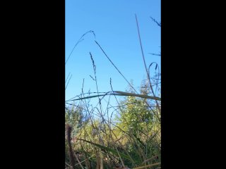 Gay asian outdoor moaning like a bitch and cumming