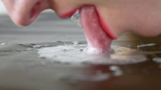 Lick mirror/glass