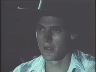 Sexy blonde Pornstar Seka in threesome