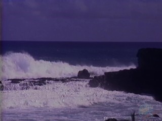 She blows him on the beach