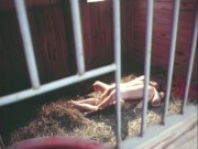 Preview 1 of She gets deep-dicked in her stable