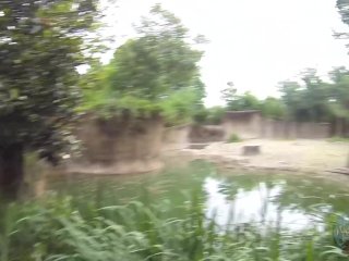 Booty And The Beasts