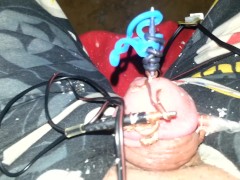 Electro torture my tiny penis feel free to humiliate it