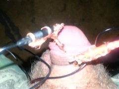 Electro torture my tiny penis feel free to humiliate it