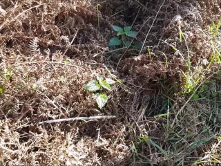 Park Over There, Risky Fuck Me Outside & Finish_In My Mouth x