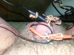 Electro my tiny penis plz comment humiliate it plz