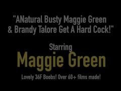 Video Natural Busty Maggie Green & Brandy Talore Get A Hard Cock!