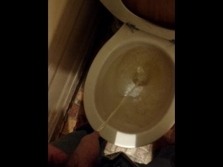 Gotta Piss