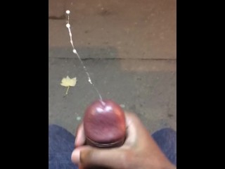 Flashing and Cumming at Bus Stop