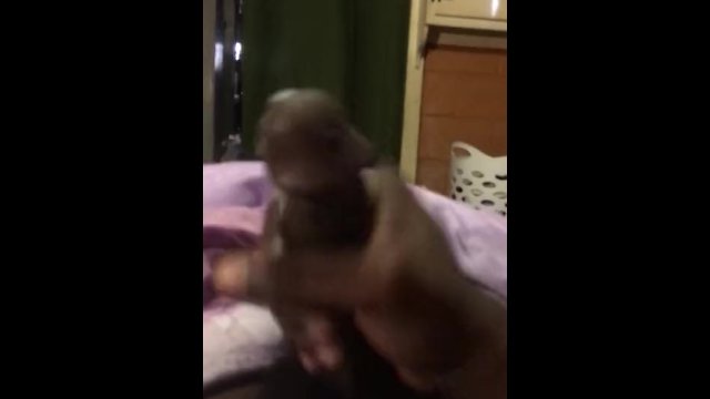 Quick Nut
