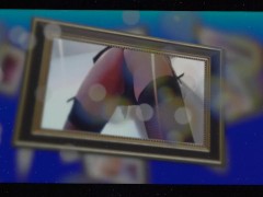 pic gallery teaser