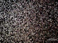 Biggest bbc cumshot you ever seen!!