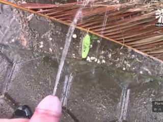 Golden Shower of Hits XXX - Vol1. 2) Love Song