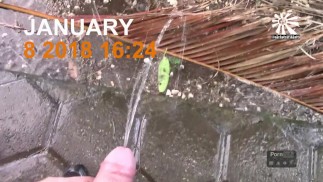 Золотой дождь хитов ХХХ - Том 1. 2) Любовная песня