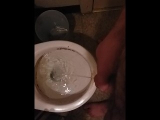 Amateur Male Pisses in Toilet