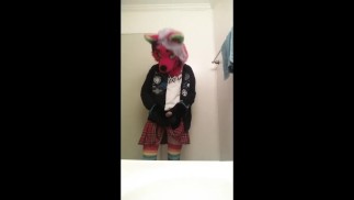 顽皮的狐狸抽搐