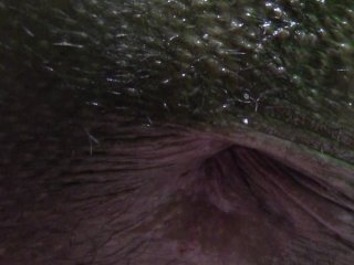 LINDO COÑO EL DE ESTE HOMBRE - CUTE PUSSY_THIS MAN'S