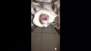Boy mastrubates covered in foam and licks his tasty cum 