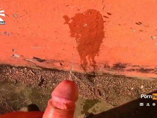 Golden Shower Of Hits XXX Vol.1 4. International Cover Up