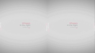VirtualRealPorn.com - Whispers in the night