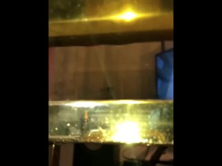 ooo! My Ass! Is Horny!