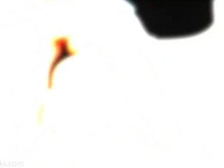 Black in White #3 Black Loads Matter