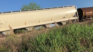 Riskant! Ich war so erregt, dass ich kam, bevor ich hart wurde, lol (TS PublicPrincess)