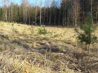 Outdoor nakedwalking, pissing and cumshot