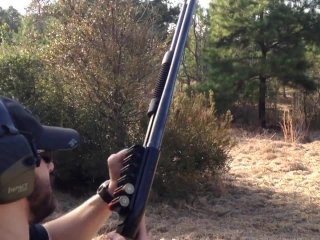 gun, shooting, 12 gauge, buck