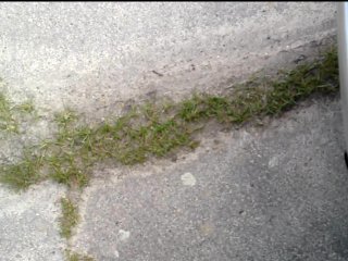 Endlich Nackt - Teil 1: Ausziehen