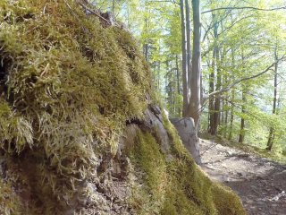 girl is Caught during fucking by a peeper in forest in all 3 holes