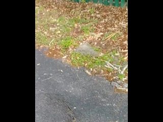 hotel nut outside