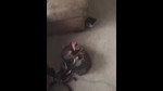 播放列表 Thumb 262781541-1