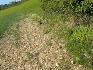 Public Naked Woodland Fuck & Swallow