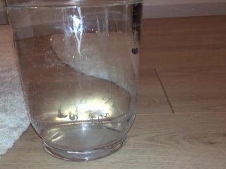 College twink boy shoots big cumshot in water with slowmotion