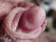 Preview 6 of Pulsing Hard Clitoris In Extreme Close Up