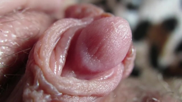 Pulsing Hard Clitoris In Extreme Close Up