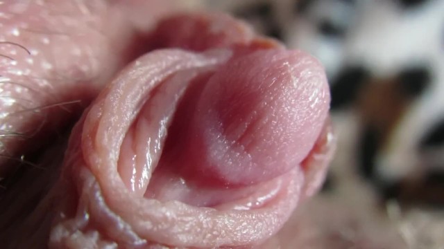 Pulsing Hard Clitoris In Extreme Close Up