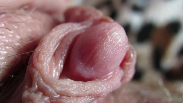 Pulsing Hard Clitoris In Extreme Close Up