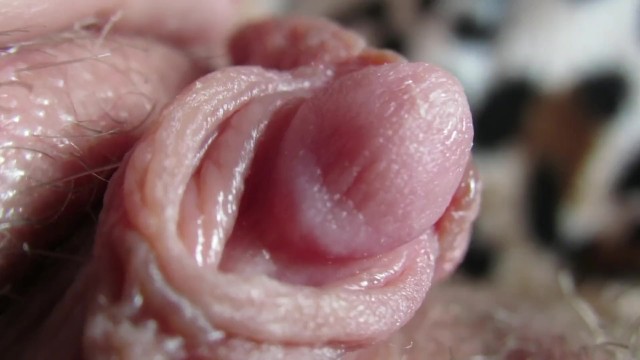 Pulsing Hard Clitoris In Extreme Close Up
