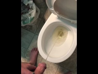 Pissing in my toilet