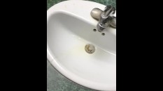 Destructive pissing