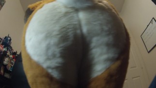 wagging my tail