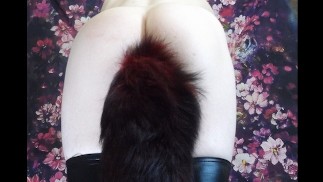 我的狡猾尾巴 9 播放