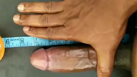 My Penis Measured